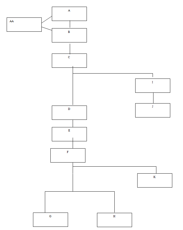 Visning af billede: koncernstruktur