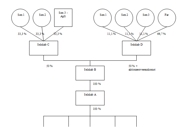 Visning af billede: ejerstruktur